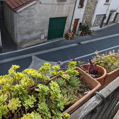 Bed & Breakfast Casa Del Prete Petina